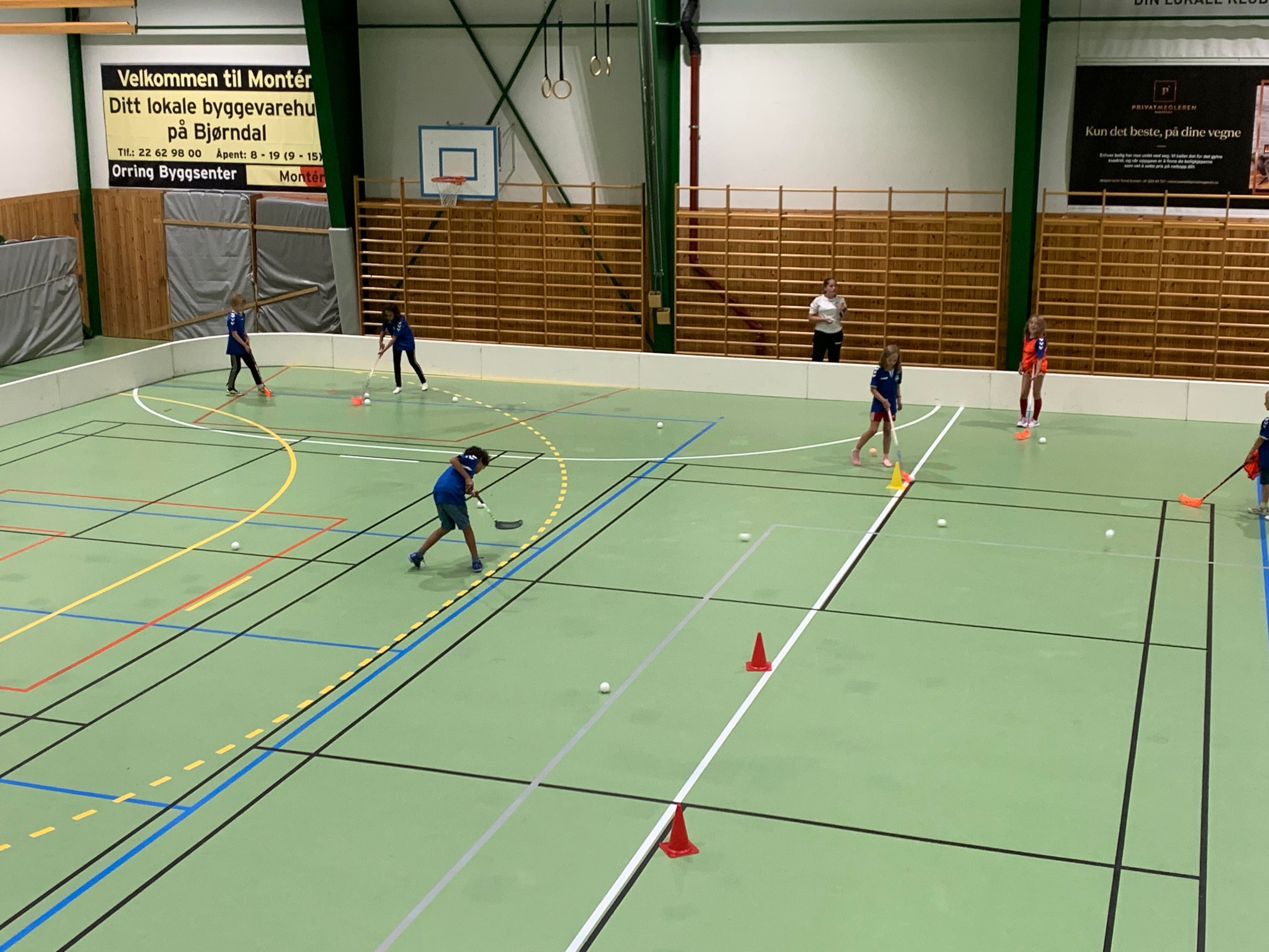 Image for Oppstart av innebandy i uke 42